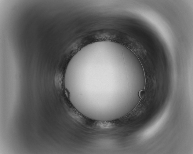 X0000116820767200912241241