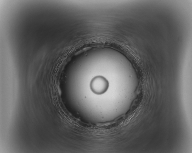 X0000116820769200912241240