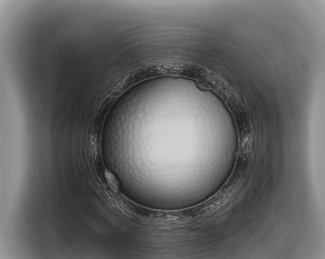 X0000116820772200912241240