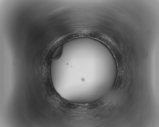 X0000116820773200912241240