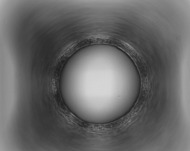 X0000116820774200912241240