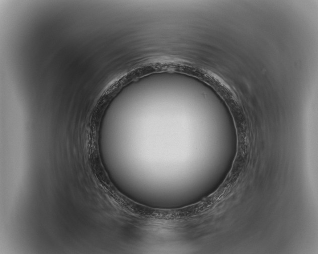 X0000116820775200912241240