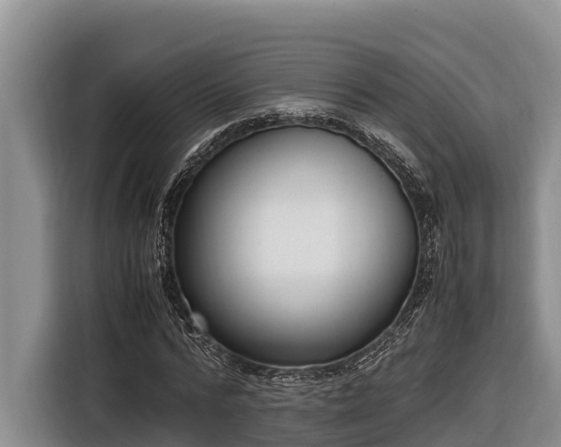 X0000116820776200912241240