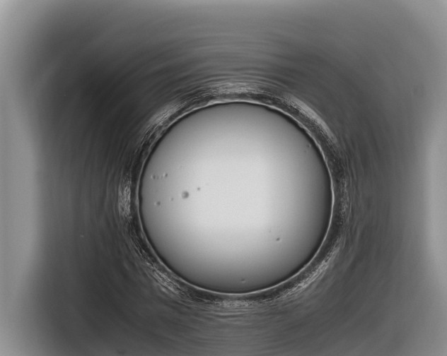 X0000116820777200912241240