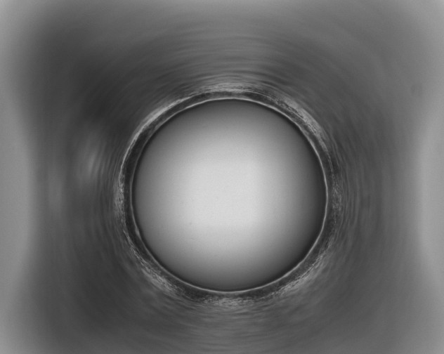 X0000116820779200912241240