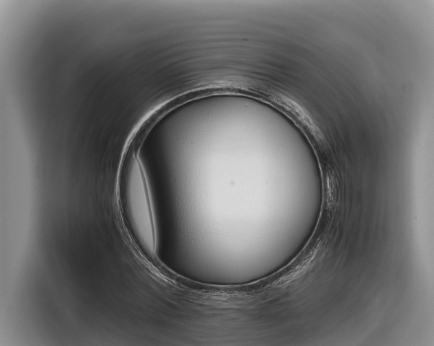 X0000116820780200912241240