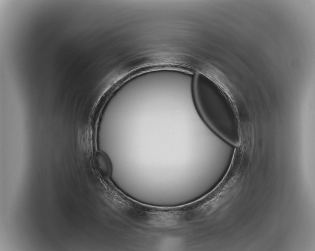 X0000116820781200912241240