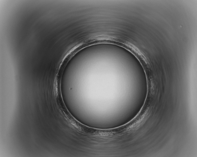 X0000116820782200912241240