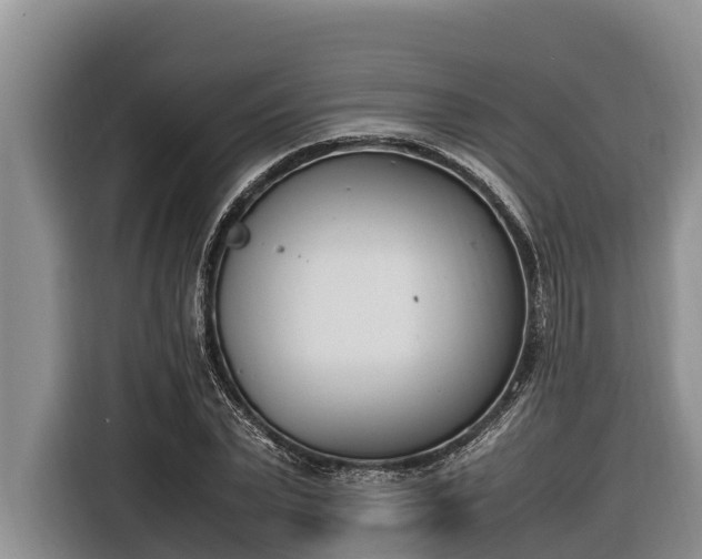 X0000116820783200912241240