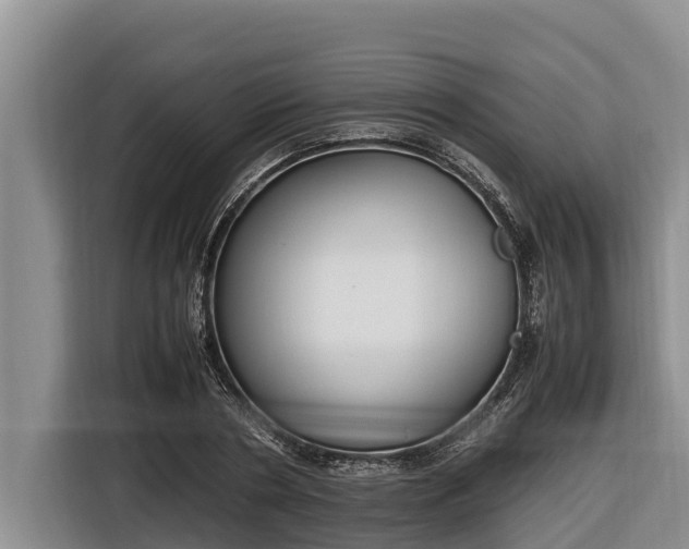 X0000116820786200912241240