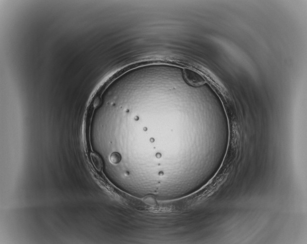 X0000116820788200912241240