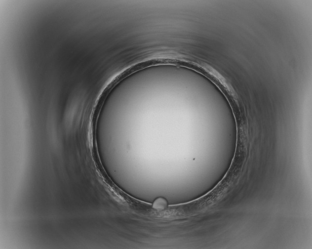 X0000116820791200912241240