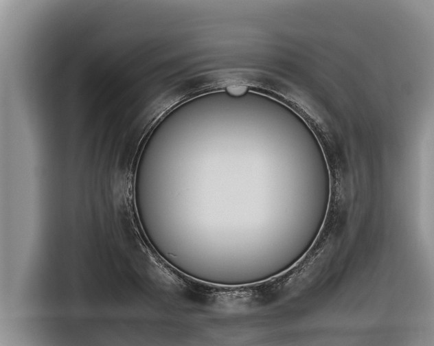 X0000116820793200912241240