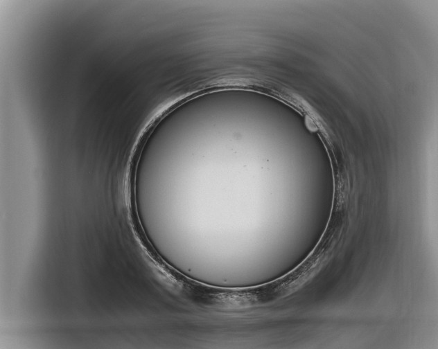 X0000116820795200912241240