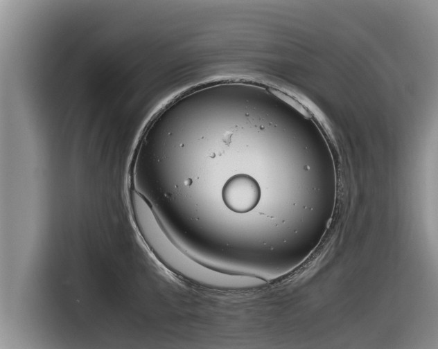 X0000116820807200912241239