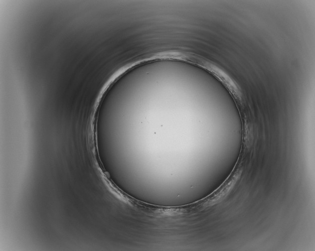 X0000116820808200912241239