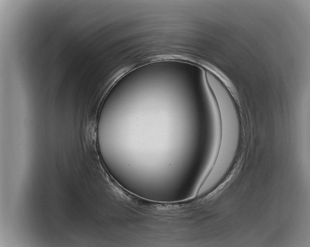 X0000116820809200912241239