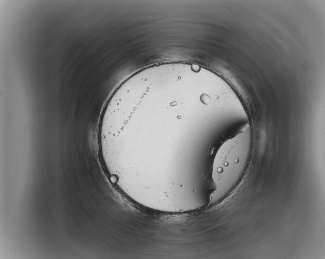 X0000116820810200912241239