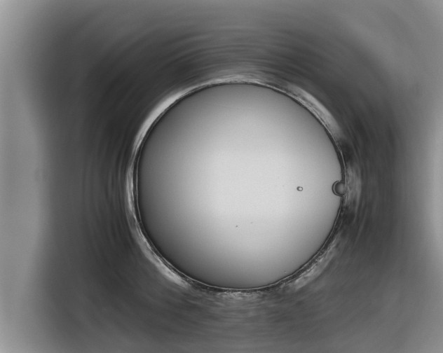 X0000116820812200912241239