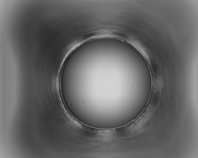 X0000116820813200912241239