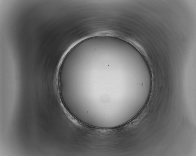 X0000116820816200912241239