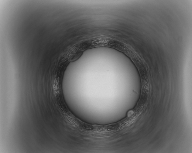 X0000116820818200912241239