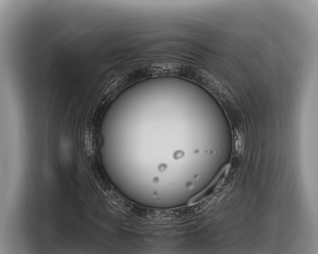 X0000116820819200912241239