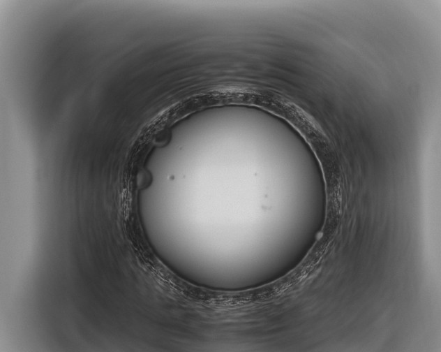 X0000116820821200912241239