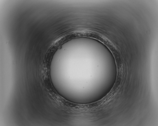 X0000116820822200912241239