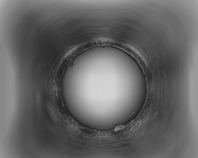 X0000116820823200912241239