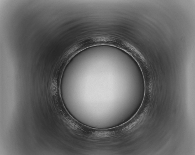 X0000116820825200912241239