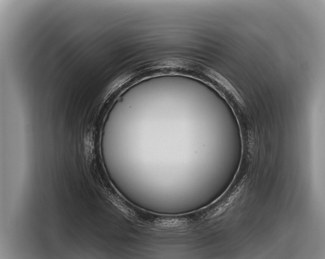 X0000116820826200912241239