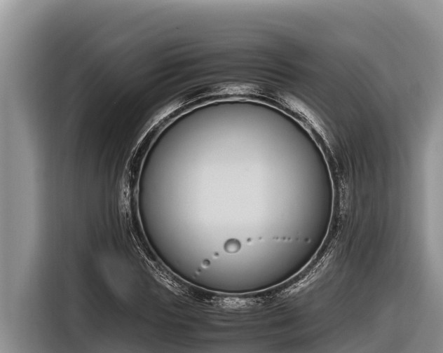 X0000116820827200912241239