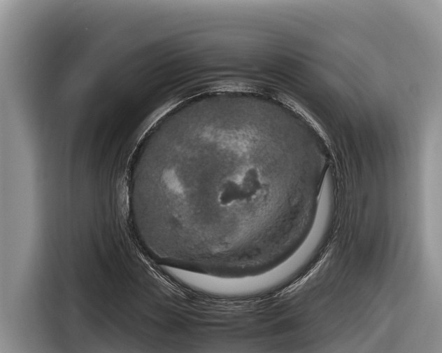 X0000116820829200912241239