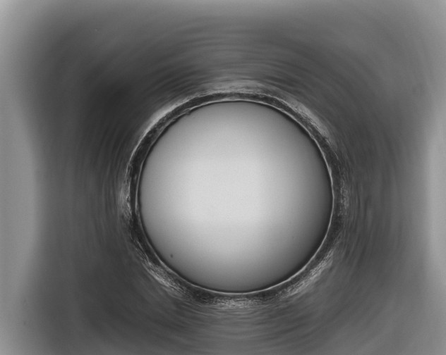 X0000116820830200912241239