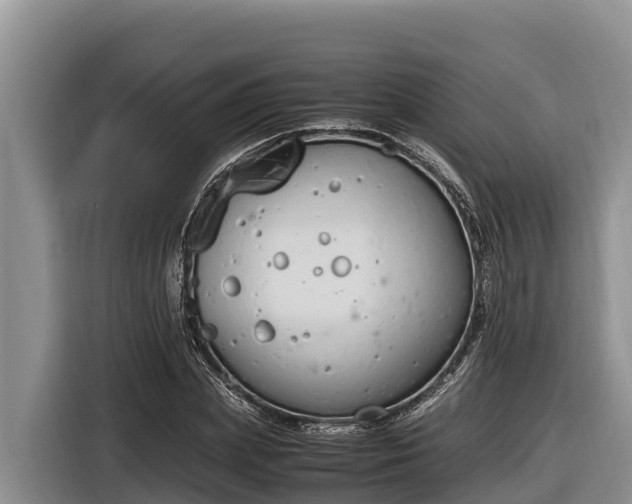 X0000116820831200912241239