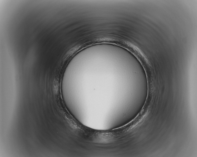 X0000116820833200912241239