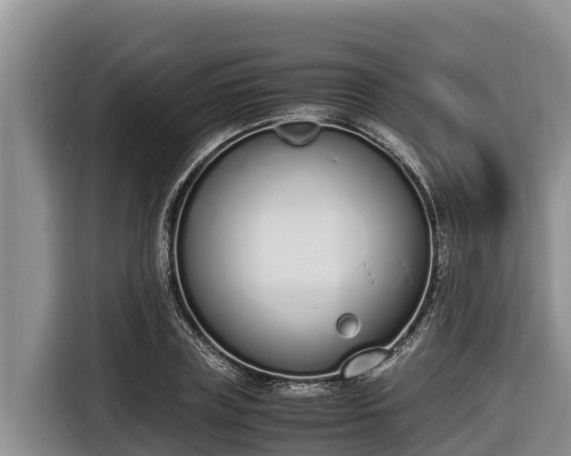 X0000116820835200912241239