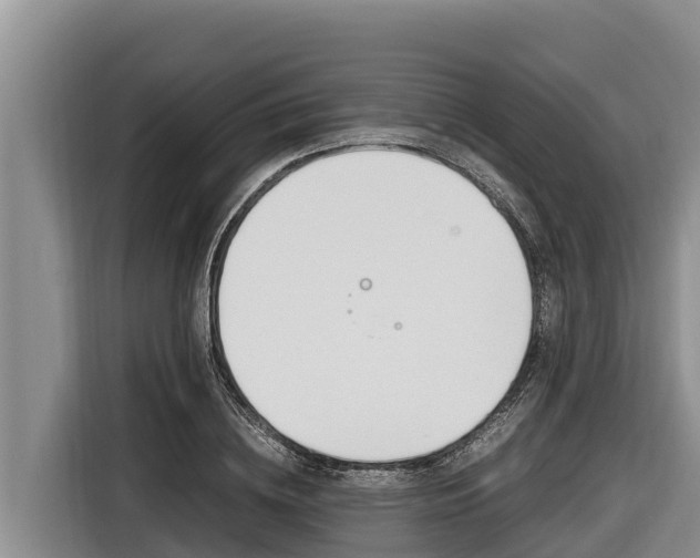 X0000116820836200912241239