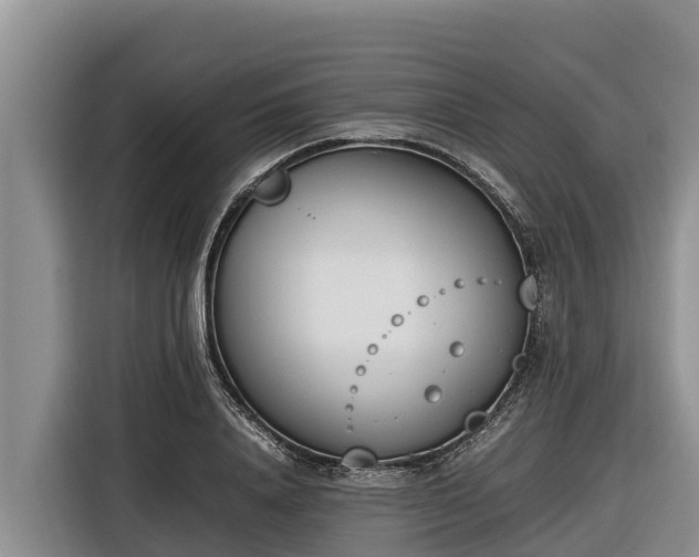 X0000116820840200912241239