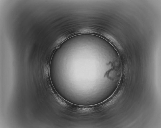 X0000116820841200912241239