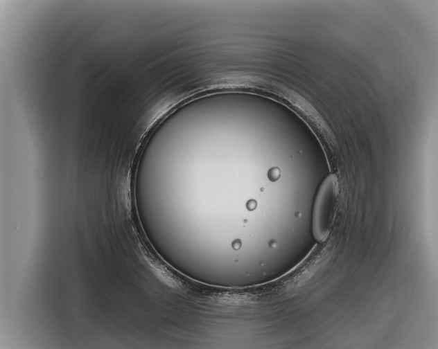 X0000116820842200912241239