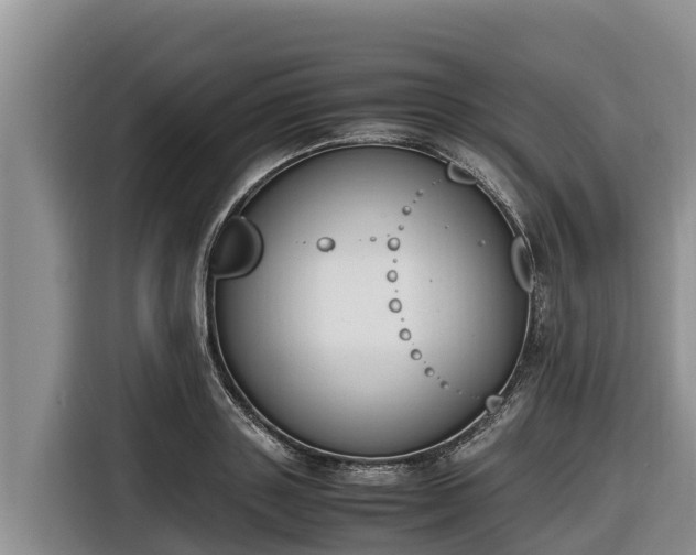 X0000116820843200912241239