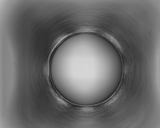 X0000116820844200912241239