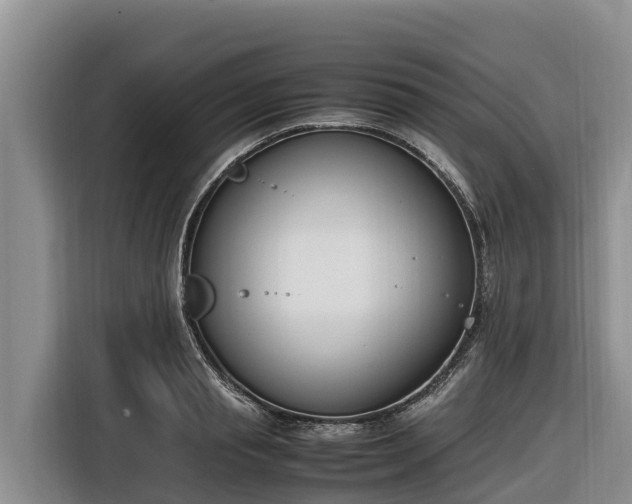 X0000116820845200912241239