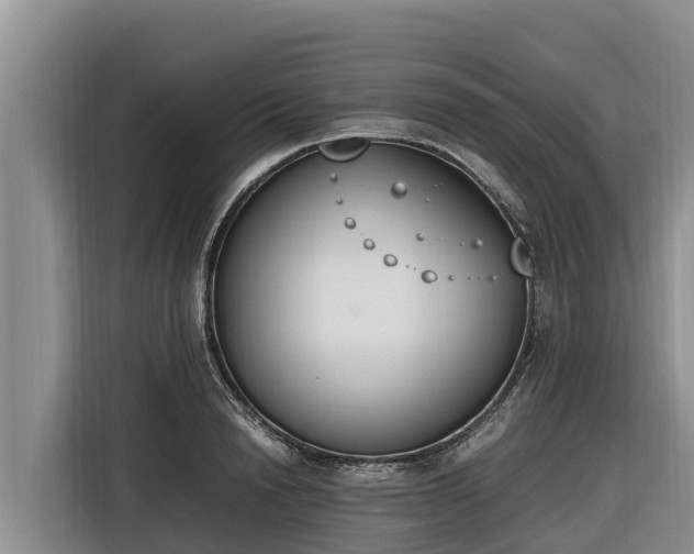 X0000116820846200912241239