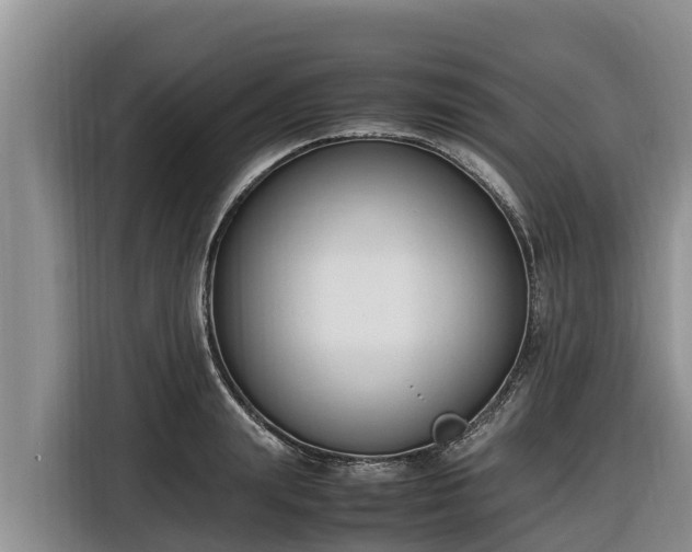 X0000116820847200912241239