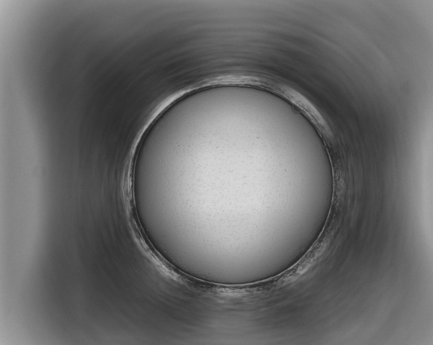 X0000116820852200912241239