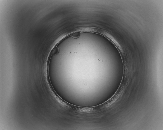 X0000116820853200912241239