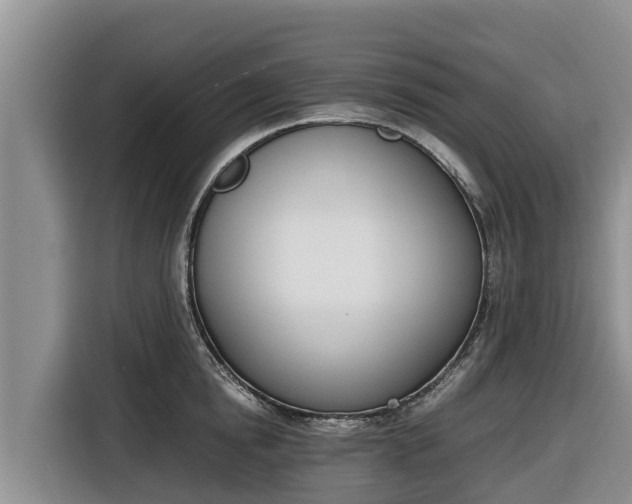 X0000116820854200912241239